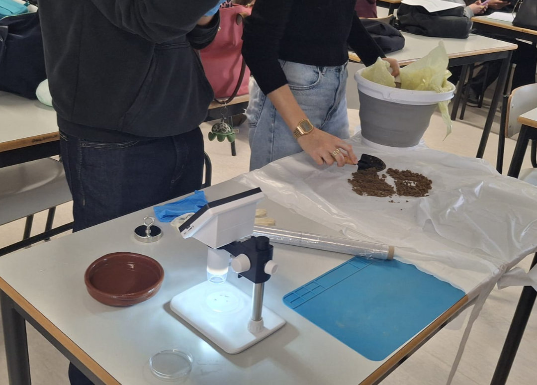 Students from Frei Gonçalo de Azevedo School - Experiments