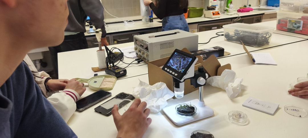 Students from Paredes School - Experiments